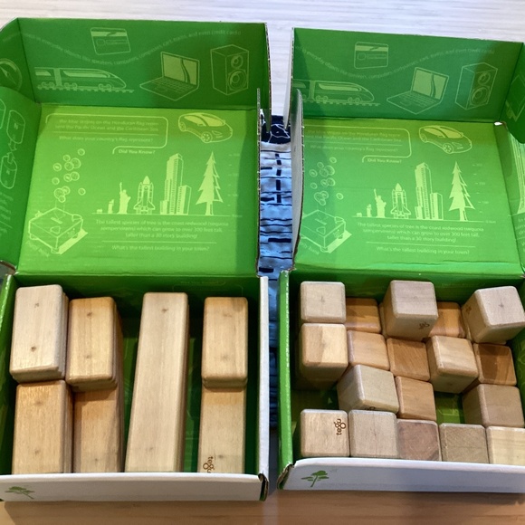 Tegu blocks - Picture 1 of 3